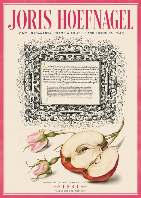 Joris Hoefnagel Illuminated Calligraphy and Botanical Study No6 - Póster