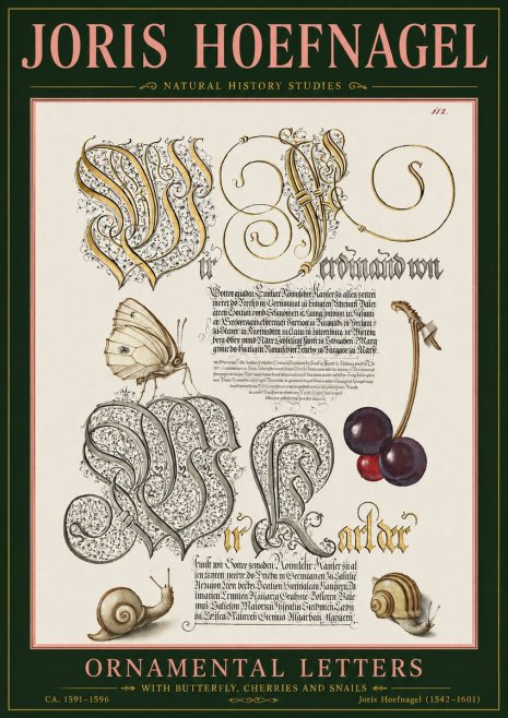 Joris Hoefnagel Ornamental Letters with Butterfly, Cherries and Snails No5 - Póster