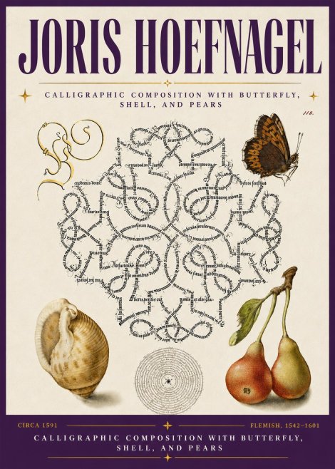 Joris Hoefnagel Calligraphic Composition with Butterfly, Shell, and Pears No6 - Póster