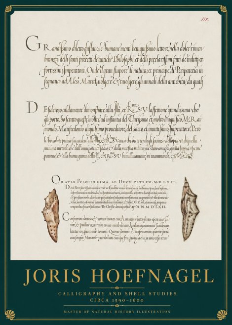 Joris Hoefnagel Study of Shells and Calligraphy No4 - Póster