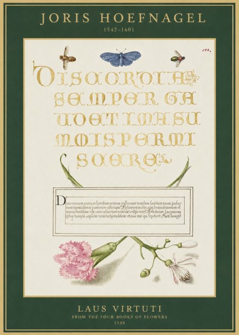 Joris Hoefnagel Laus Virtuti No1 - Póster