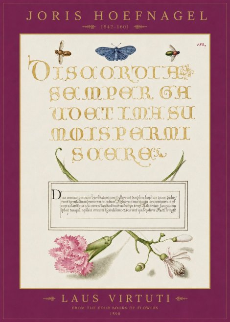 Joris Hoefnagel Laus Virtuti No2 - Póster