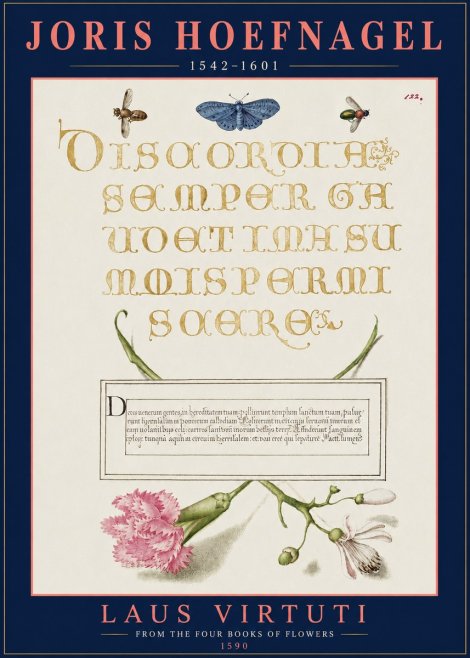 Joris Hoefnagel Laus Virtuti No3 - Póster