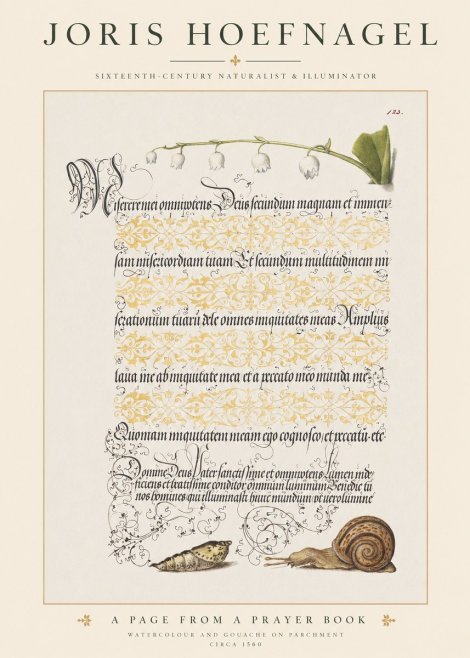 Joris Hoefnagel Lily of the Valley, Snail and Caterpillar No6 - Póster