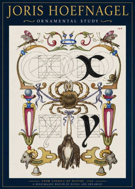 Joris Hoefnagel Ornamental Study II No2 - Póster