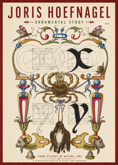 Joris Hoefnagel Ornamental Study II No3 - Póster