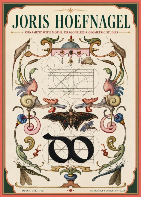 Joris Hoefnagel Ornament with Moths, Dragonflies & Geometric Studies No4 - Póster