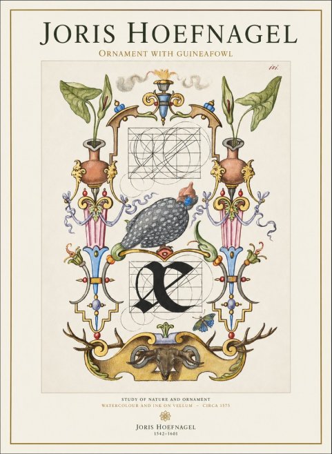 Joris Hoefnagel Ornament with Guineafowl No1 - Póster