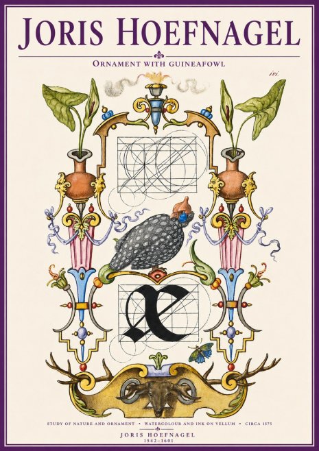 Joris Hoefnagel Ornament with Guineafowl No3 - Póster