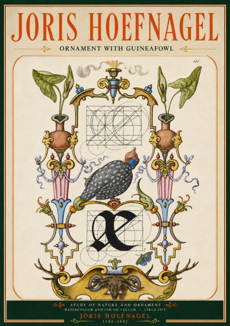 Joris Hoefnagel Ornament with Guineafowl No5 - Póster