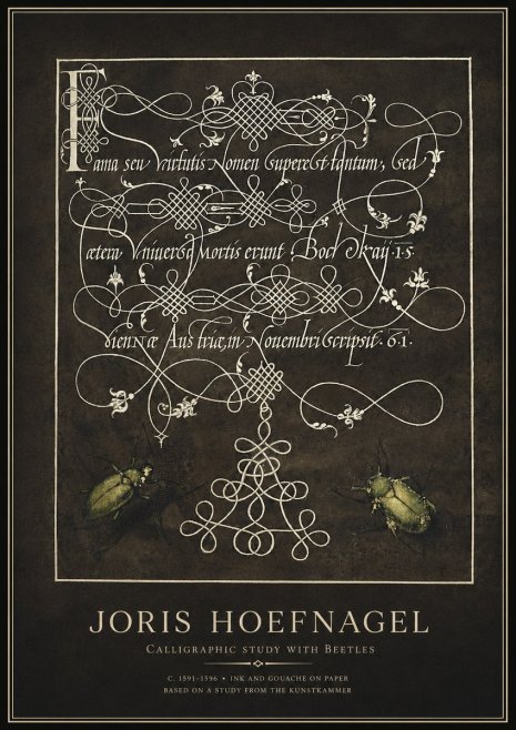 Joris Hoefnagel Calligraphic Study with Beetles No1 - Póster