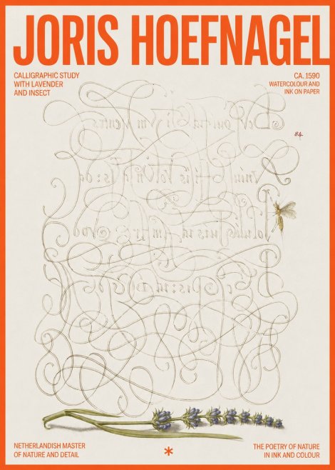 Joris Hoefnagel Calligraphic Study with Insect and Flower No6 - Póster