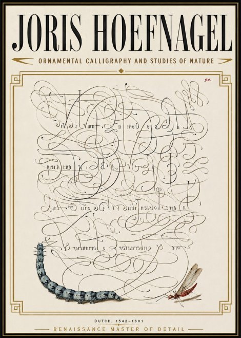 Joris Hoefnagel Ornamental Calligraphy and Studies of Nature No6 - Póster