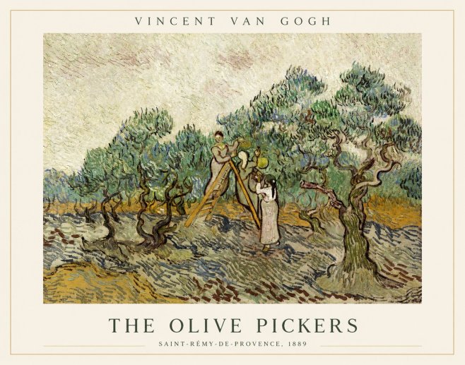Van Gogh The Olive Pickers II No1 - Póster