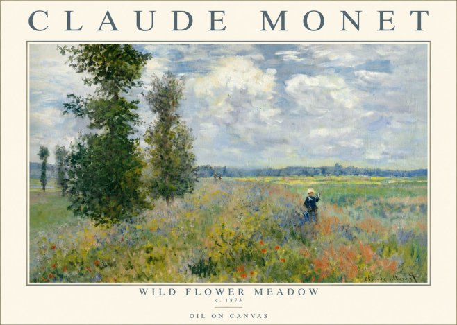 Monet Wild Flower Meadow No3 - Póster