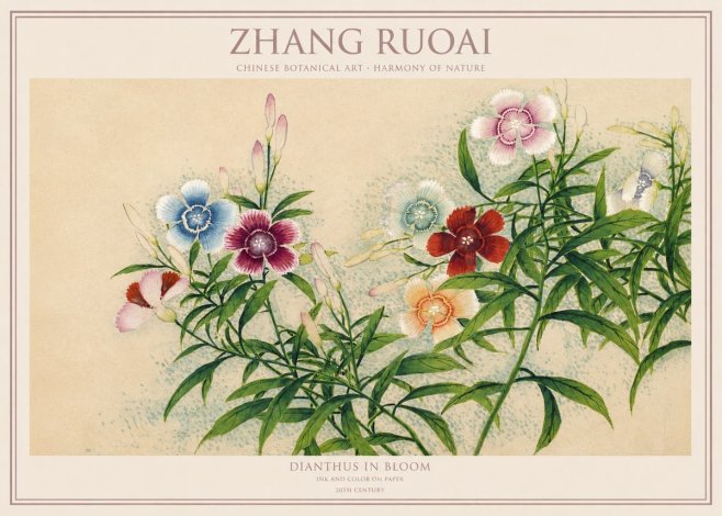 Zhang Ruoai Dianthus in Bloom No1 - Póster