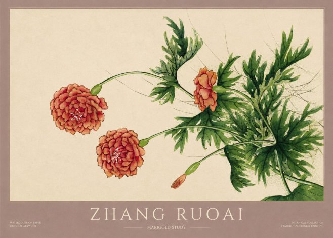Zhang Ruoai Marigold Study No1 - Póster