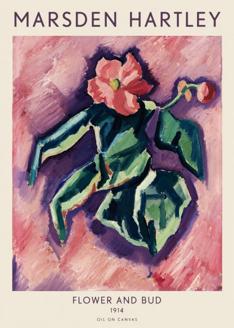 Marsden Hartley Flower and Bud No1 - Póster