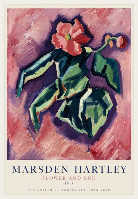 Marsden Hartley Flower and Bud No3 - Póster