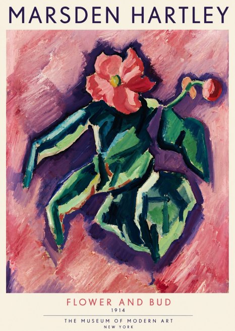 Marsden Hartley Flower and Bud No4 - Póster