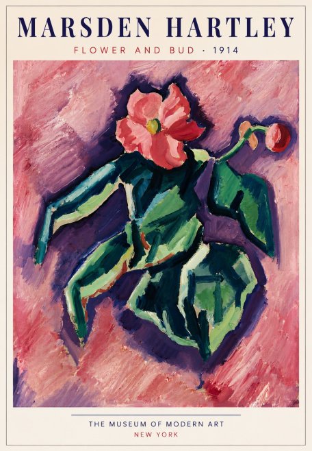 Marsden Hartley Flower and Bud No5 - Póster