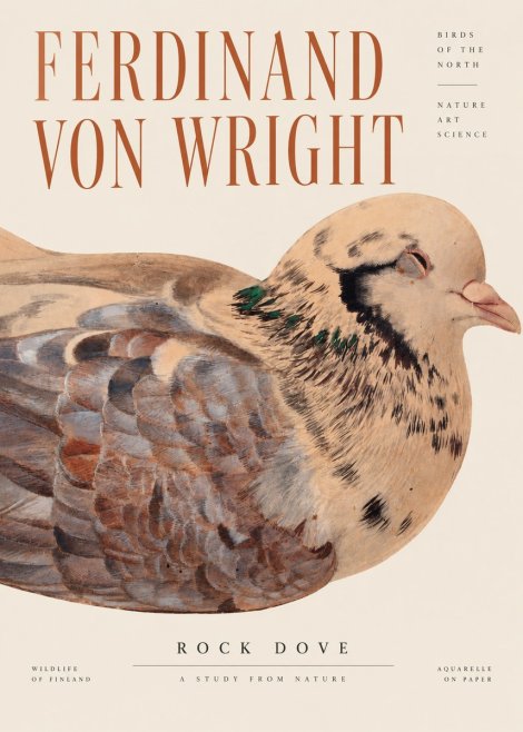 Ferdinand von Wright Turtle Dove Study No4 - Póster