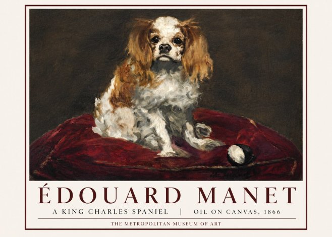 Édouard Manet A King Charles Spaniel No3 - Póster