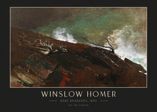Winslow Homer Bare Branches, 1892 No4 - Póster