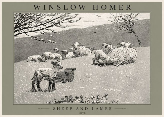 Winslow Homer Sheep and Lambs No2 - Póster