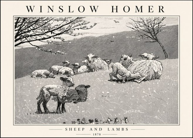 Winslow Homer Sheep and Lambs No4 - Póster