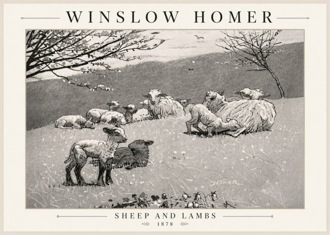 Winslow Homer Sheep and Lambs No5 - Póster