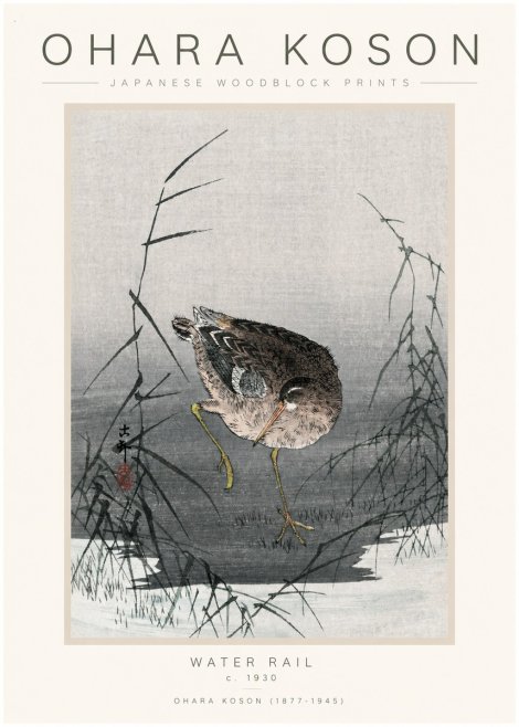 Ohara Koson Water Rail No1 - Póster