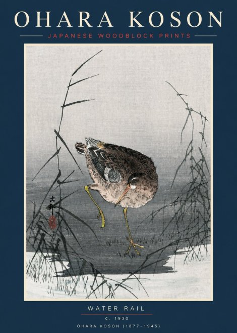 Ohara Koson Water Rail No2 - Póster