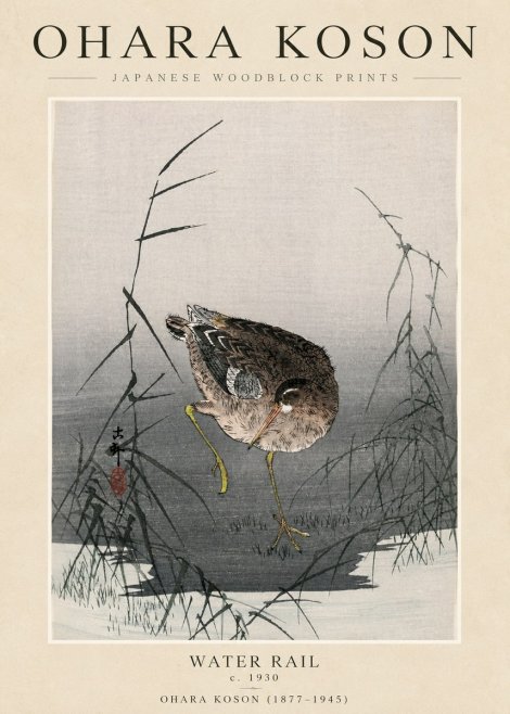 Ohara Koson Water Rail No3 - Póster