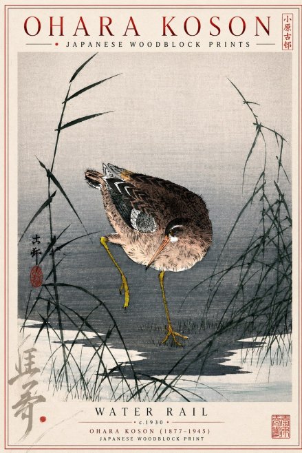 Ohara Koson Water Rail No4 - Póster