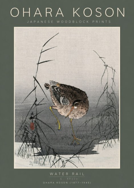 Ohara Koson Water Rail No5 - Póster