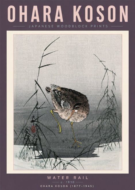 Ohara Koson Water Rail No6 - Póster
