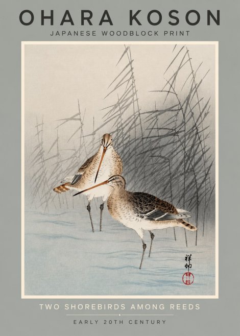 Ohara Koson Snipe in the Reeds No3 - Póster