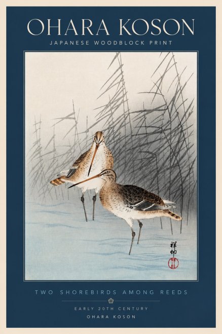 Ohara Koson Snipe in the Reeds No4 - Póster