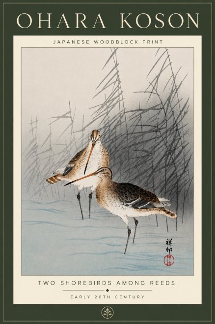 Ohara Koson Snipe in the Reeds No6 - Póster