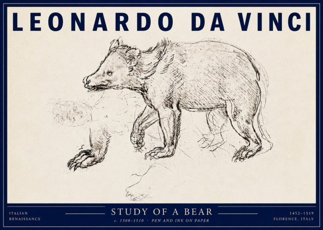 Leonardo da Vinci Study of a Bear No3 - Póster