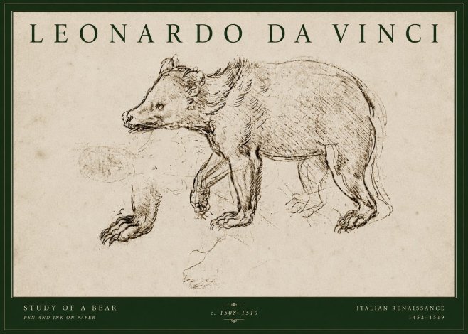 Leonardo da Vinci Study of a Bear No4 - Póster