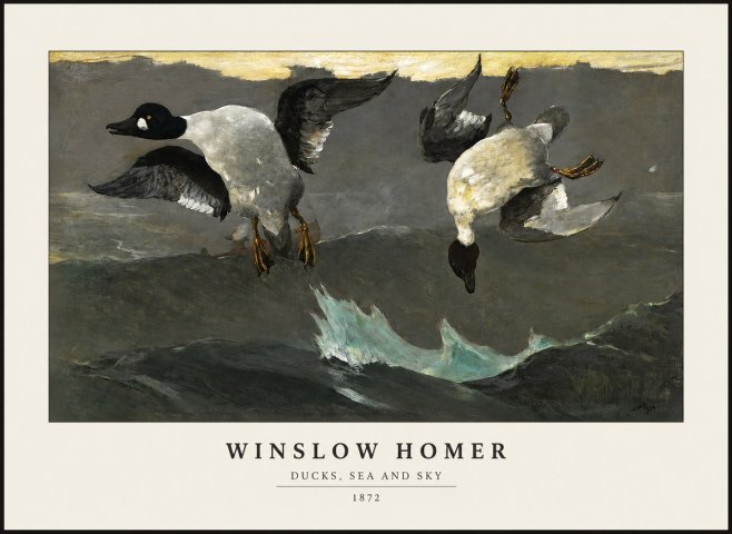 Winslow Homer Ducks, Sea and Sky No1 - Póster