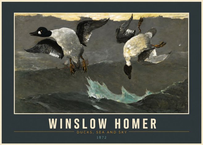 Winslow Homer Ducks, Sea and Sky No2 - Póster
