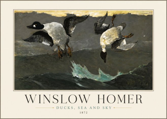 Winslow Homer Ducks, Sea and Sky No3 - Póster