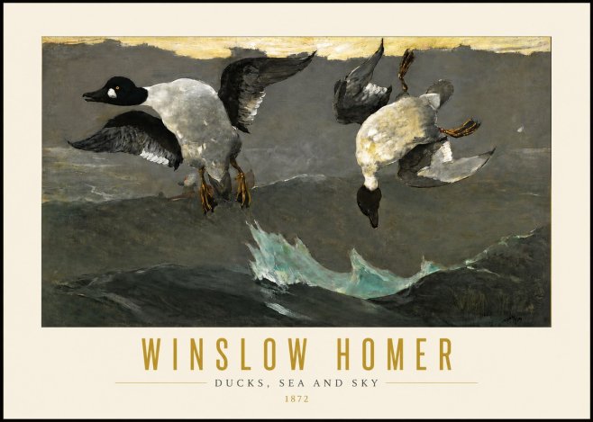 Winslow Homer Ducks, Sea and Sky No4 - Póster