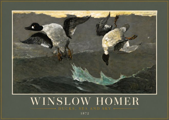 Winslow Homer Ducks, Sea and Sky No6 - Póster