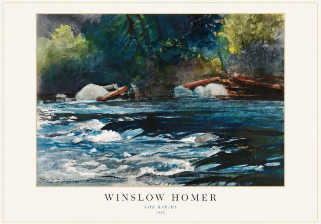 Winslow Homer The Rapids No1 - Póster