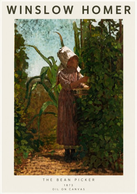 Winslow Homer The Bean Picker No4 - Póster