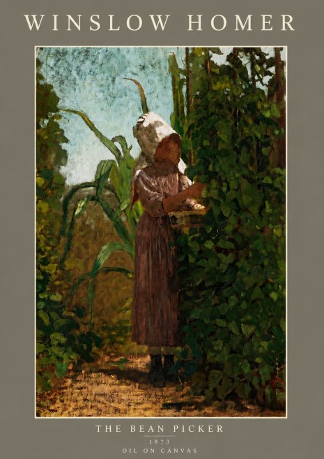 Winslow Homer The Bean Picker No5 - Póster